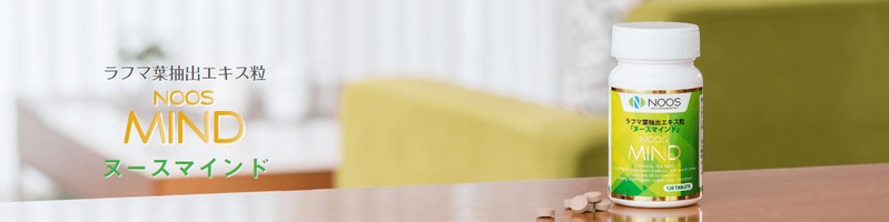 �����^���P�A�T�v���@�k�[�X�}�C���h���T�C�g